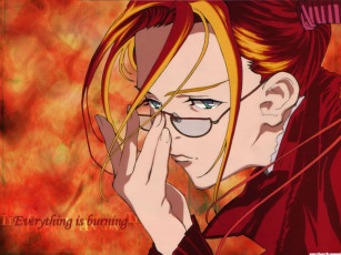 Картинка аниме witch hunter robin