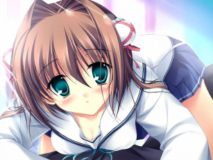 Картинка аниме da capo