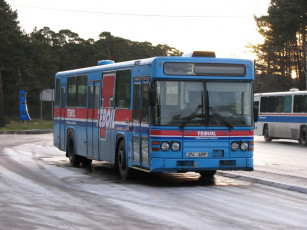 Картинка автомобили автобусы