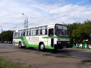 Картинка автомобили автобусы