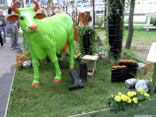 Картинка разное