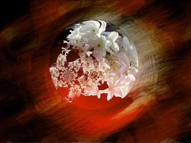 Обои картинки фото разное