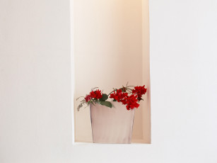 Картинка цветы