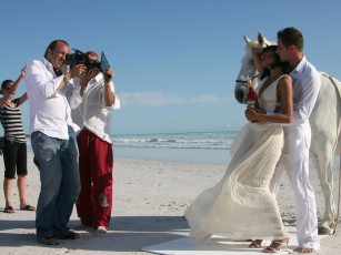 Картинка campari бренды