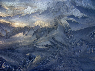 Картинка назовите сами природа макро