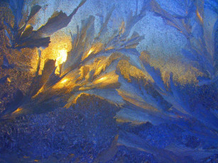 Картинка восход природа макро