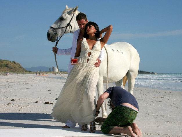 Обои картинки фото campari, бренды