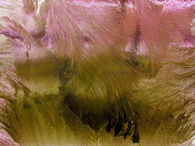 Обои картинки фото горах, природа, макро