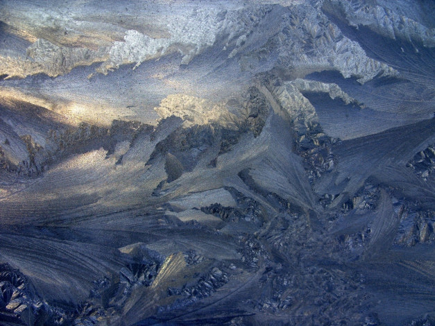 Обои картинки фото назовите, сами, природа, макро