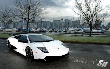 Картинка автомобили lamborghini murcielago