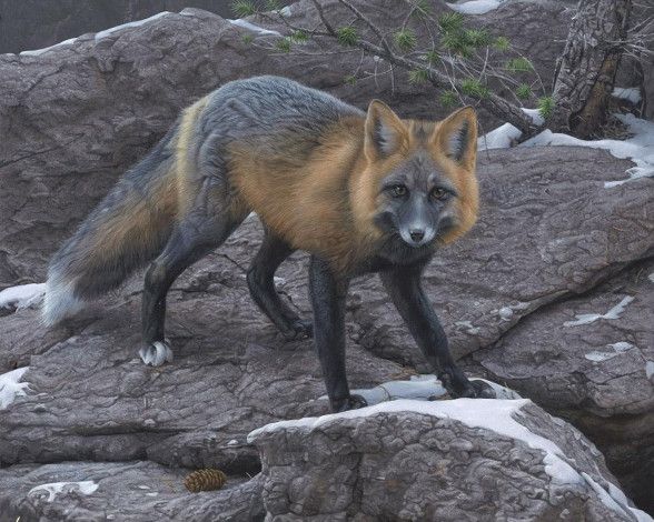 Обои картинки фото рисованные, животные, лисы