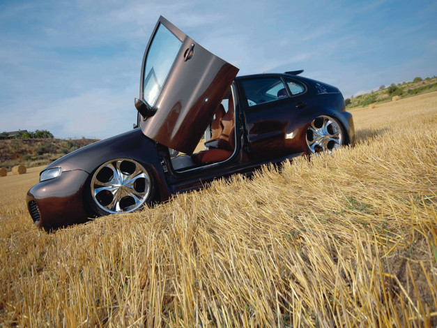 Обои картинки фото автомобили, seat