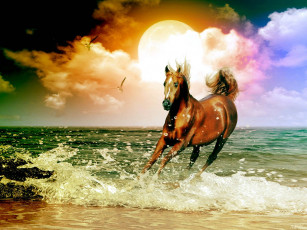 Картинка рисованные животные лошади море конь лошадь