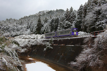 Картинка техника вагоны лес река иней