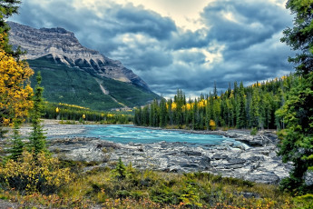 Картинка athabasca river jasper national park alberta canada природа реки озера горы река атабаска канада деревья лес пейзаж