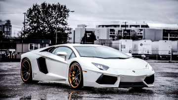 Картинка lamborghini aventador автомобили