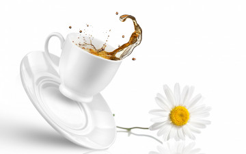 Картинка еда напитки Чай чай чашка блюдце ромашка