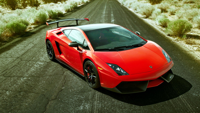 Обои картинки фото lamborghini, gallardo, автомобили