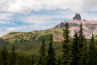 Картинка природа горы колорадо сша лес ели