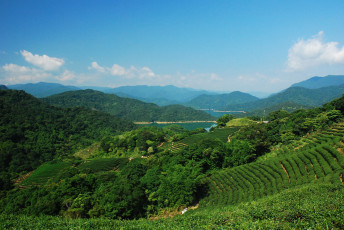 Картинка природа поля панорама горы