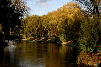 Картинка польша+++быдгощ природа парк кусты деревья пруд польша быдгощ