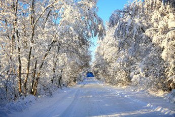 Картинка природа зима снег