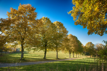 Картинка природа дороги дорожка трава деревья