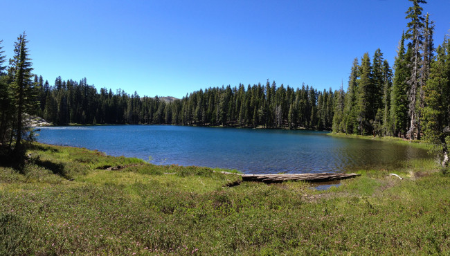 Обои картинки фото baltimore lake сша, природа, реки, озера, трава, ели, лес, озеро, сша, lake, baltimore