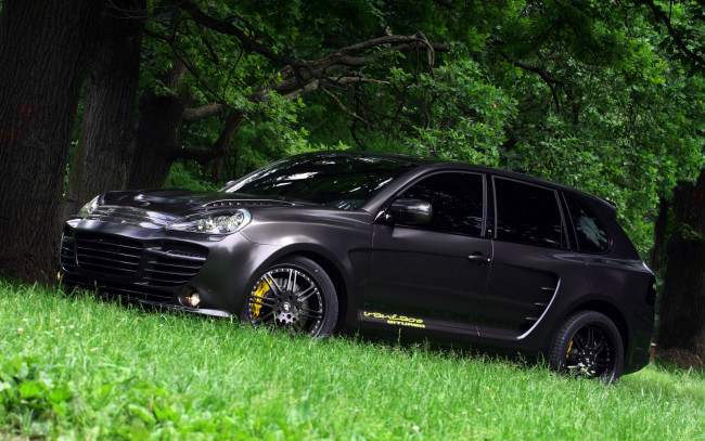 Обои картинки фото автомобили, porsche, xxx