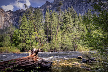 Картинка природа реки озера горы лес река