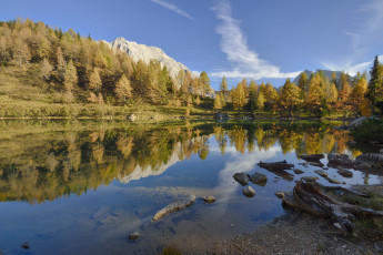 Картинка природа реки озера горы лес река