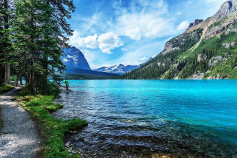 Картинка природа реки озера горы река дорога пейзаж деревья