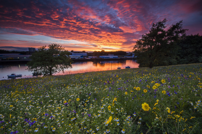 Обои картинки фото города, - пейзажи, цветы, луг, закат, река