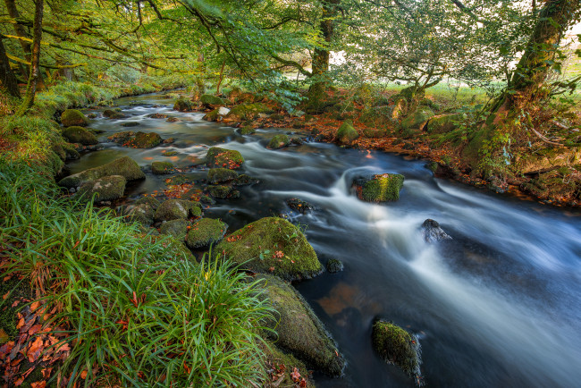 Обои картинки фото природа, реки, озера, лес, ручей, осень