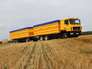 Картинка автомобили маз маз-6501a8-325-000 колос 2015г