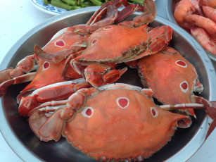 Картинка еда рыба +морепродукты +суши +роллы крабы