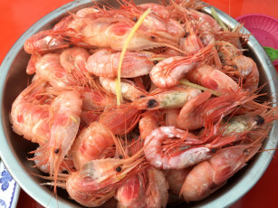 Картинка еда рыба +морепродукты +суши +роллы креветки