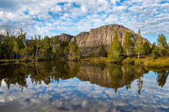 Картинка природа реки озера река лес