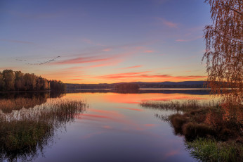 Картинка природа реки озера лес река