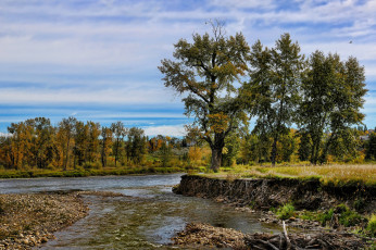 Картинка природа реки озера река лес