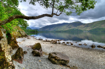 Картинка природа реки озера река лес