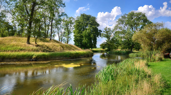 Обои картинки фото природа, реки, озера, река, лес