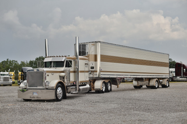 Обои картинки фото peterbilt 359, автомобили, peterbilt, грузовик, тяжелый, тягач, седельный