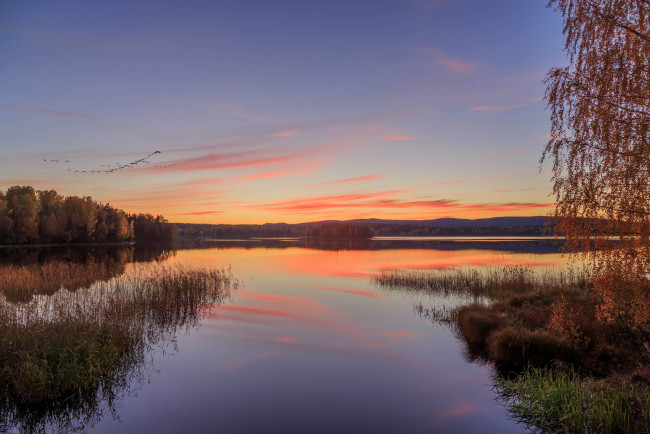 Обои картинки фото природа, реки, озера, лес, река