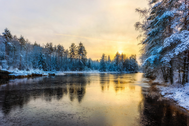 Обои картинки фото природа, реки, озера, река, лес