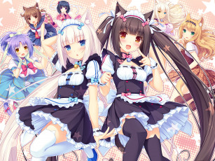 Картинка аниме nekopara девушки фон взгляд