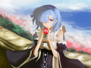 Картинка аниме re +zero+kara+hajimeru+isekai+seikatsu рем