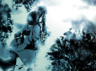 Картинка аниме hakuouki shinsengumi kitan