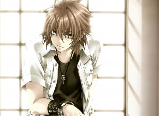 Картинка аниме monochrome+factor nikaido akira