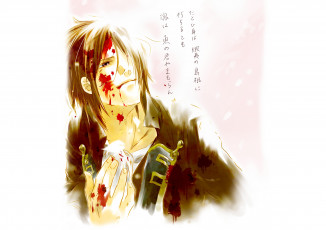 Картинка аниме hakuouki shinsengumi kitan